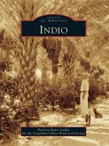Indio (eBook, ePUB)