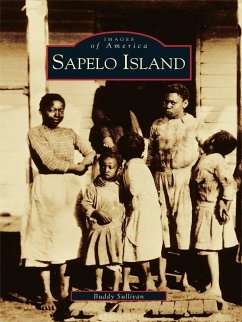 Sapelo Island (eBook, ePUB) - Sullivan, Buddy