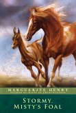 Stormy, Misty's Foal (eBook, ePUB)