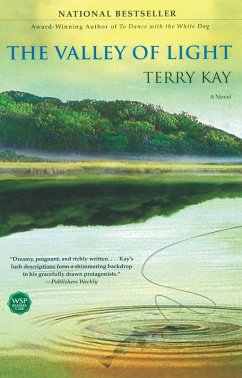 The Valley of Light (eBook, ePUB) - Kay, Terry