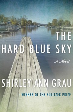 Cover The Hard Blue Sky (eBook, ePUB)