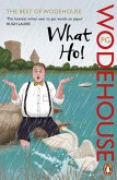 What Ho! (eBook, ePUB)