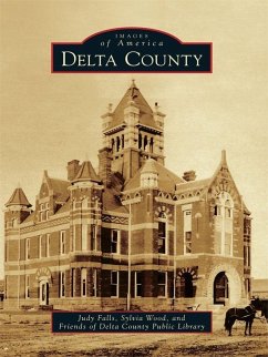 Delta County (eBook, ePUB) - Falls, Judy