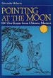 Pointing at the Moon (eBook, ePUB) - Bild 1