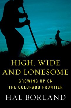 Cover High, Wide and Lonesome (eBook, ePUB)