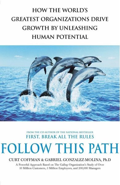 Follow This Path (eBook, ePUB)