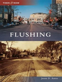 Cover Flushing (eBook, ePUB)