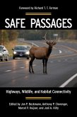 Safe Passages (eBook, ePUB)