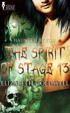The Spirit of Stage 13 (eBook, ePUB)