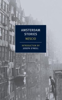 Amsterdam Stories (eBook, ePUB) - Nescio