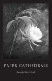 Paper Cathedrals (eBook, ePUB)