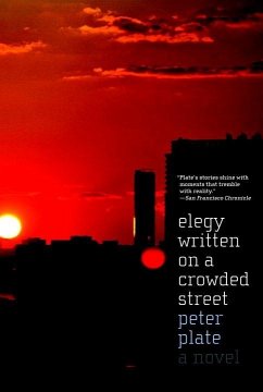 Elegy Written on a Crowded Street (eBook, ePUB) - Plate, Peter