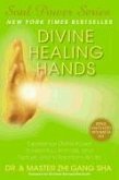 Divine Healing Hands (eBook, ePUB)
