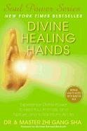 Divine Healing Hands (eBook, ePUB) - Sha, Zhi Gang