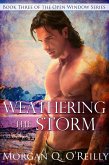 Weathering the Storm (eBook, ePUB) Weathering the Storm (eBook, ePUB)
