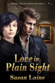 Love in Plain Sight (eBook, ePUB)