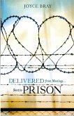 Delivered From Meetings...Sent to Prison (eBook, ePUB)