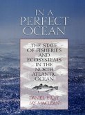 In a Perfect Ocean (eBook, ePUB)