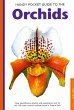 Handy Pocket Guide to Orchids (eBook,... - Bild 1