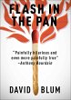 Flash in the Pan (eBook, ePUB) - Bild 1