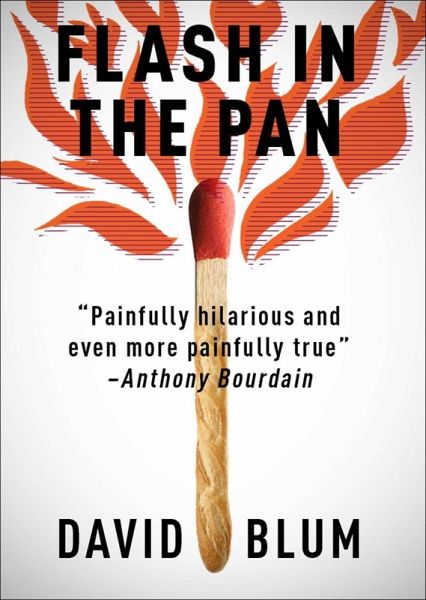 Flash in the Pan (eBook, ePUB) Flash in the Pan (eBook, ePUB)