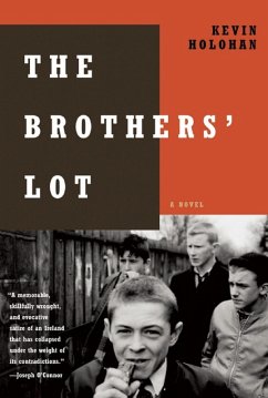 Cover The Brothers' Lot (eBook, ePUB)
