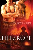 Hitzkopf (eBook, ePUB)