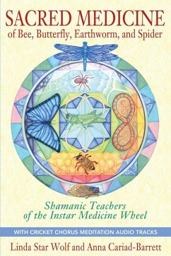 Cover Sacred Medicine of Bee, Butterfly, Earthworm, and Spider (eBook, ePUB)