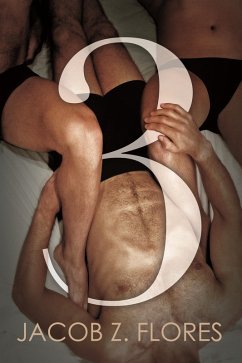 Cover 3 (eBook, ePUB)