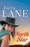 North Star (eBook, ePUB)