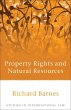 Property Rights and Natural Resources... - Bild 1