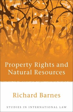 Cover Property Rights and Natural Resources (eBook, PDF)