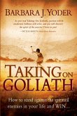 Taking On Goliath (eBook, ePUB)