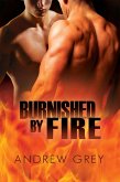 Burnished by Fire (eBook, ePUB)