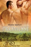 Promesse (eBook, ePUB)
