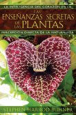 Las enseñanzas secretas de las plantas (eBook, ePUB)