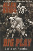 Big Play (eBook, ePUB)