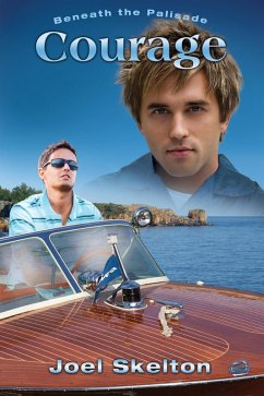 Cover Beneath the Palisade: Courage (eBook, ePUB)