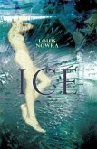 Ice (eBook, ePUB)