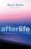 Afterlife (eBook, ePUB)