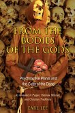 From the Bodies of the Gods (eBook, ePUB)