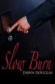 Slow Burn (eBook, ePUB)