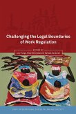 Challenging the Legal Boundaries of Work Regulation (eBook, PDF)