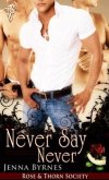 Never Say Never (eBook, ePUB)