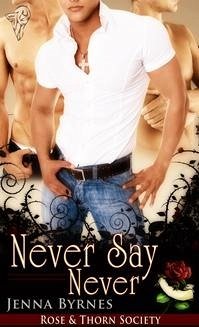 Cover Never Say Never (eBook, ePUB)