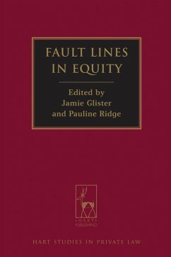 Fault Lines in Equity (eBook, PDF)