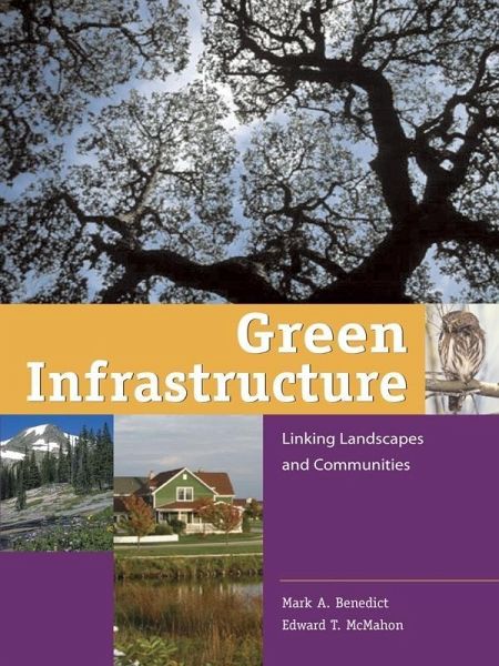 Green Infrastructure (eBook, ePUB)