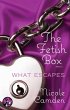 The Fetish Box, Part Two (eBook, ePUB) - Bild 1