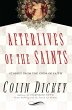 Afterlives of the Saints (eBook, ePUB) - Bild 1