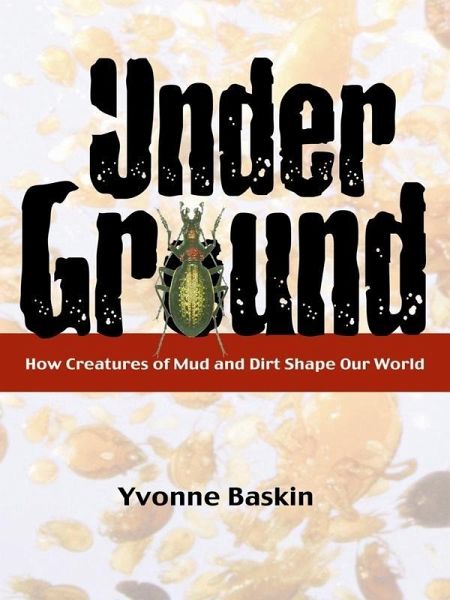 Under Ground (eBook, ePUB) Under Ground (eBook, ePUB)